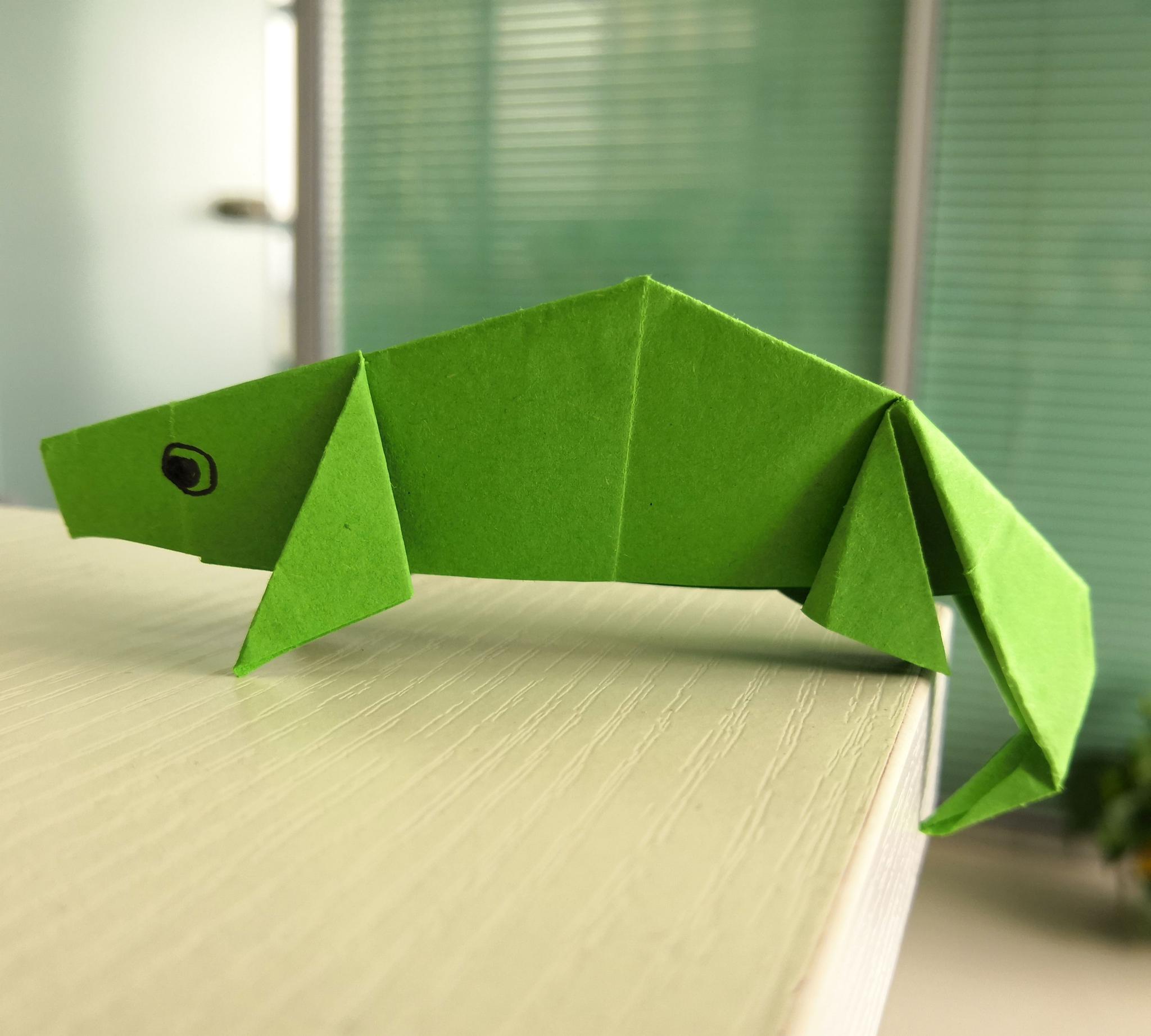 大自然的"伪装者"变色龙折纸详细教程,一起来动手做吧_高清图集_新浪