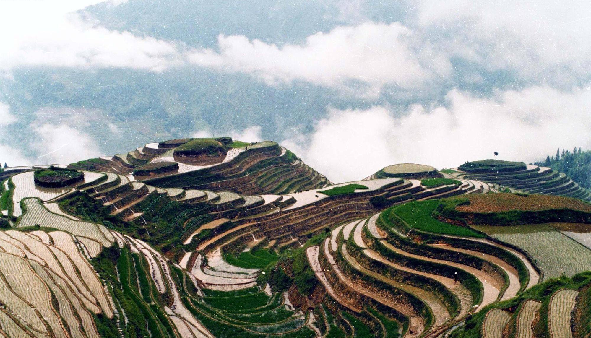 广西桂林冠岩的溶洞,广西桂林龙胜龙脊梯田