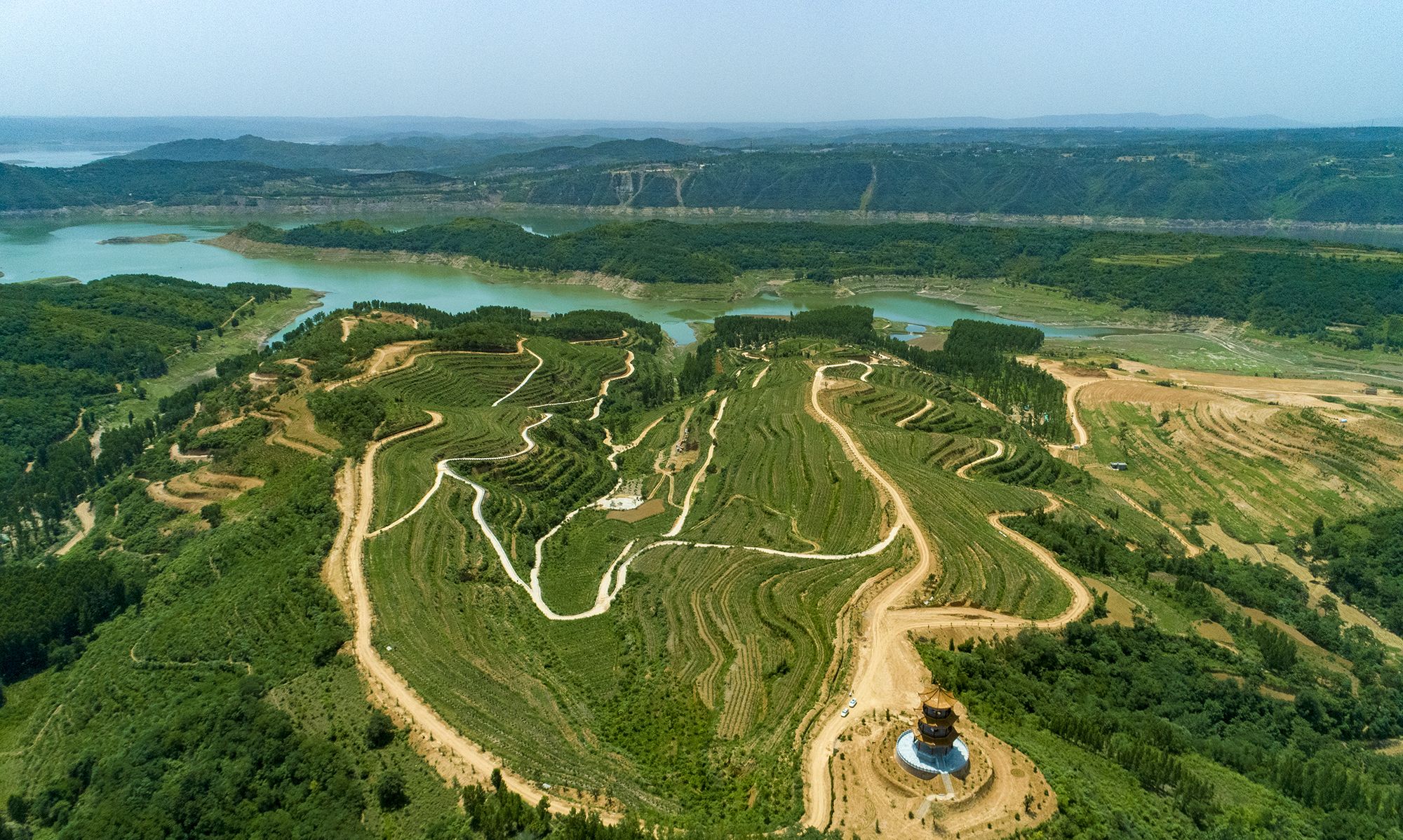 新安县石井镇:白鹭成群绘就生态画卷