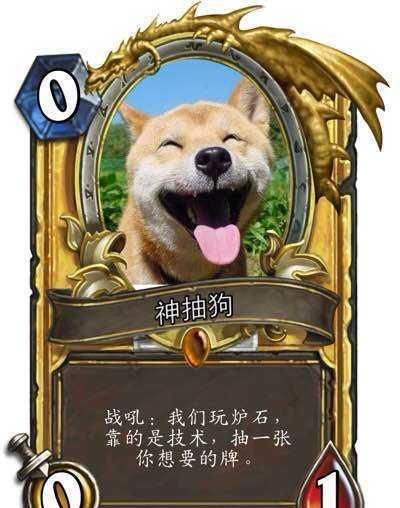 果然,炉石传说里,人是打不过狗的!