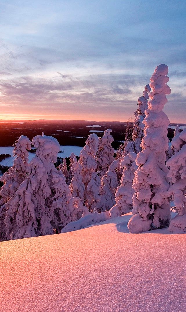 超美雪景手机屏保壁纸辽宁不下雪只能看美景已解相思之情
