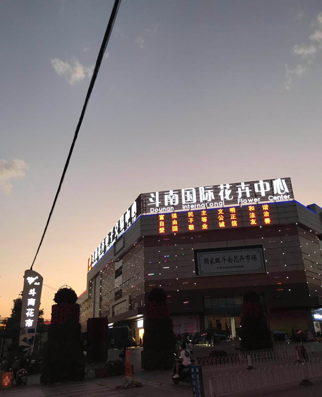 夜访全国最大的花市"斗南花市",鲜花白菜价,2块钱一大把!