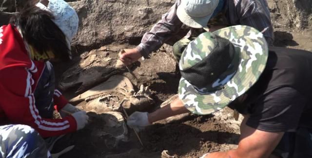 围观丨神秘的呼伦贝尔石板墓中,埋葬着多少远古秘密?