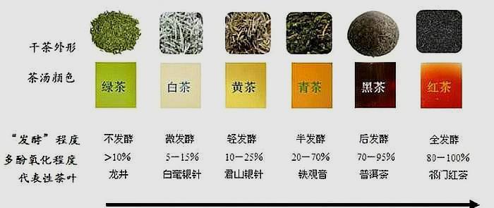 茶叶小知识,绿茶你懂它多少?