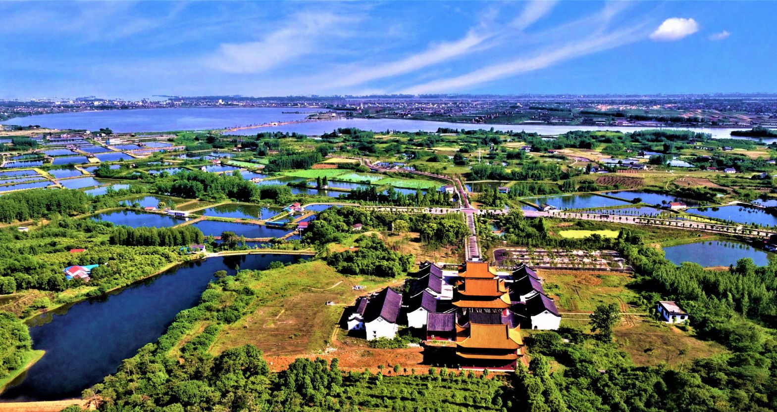 湖北枝江:大美湿地——金湖