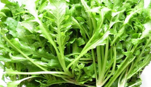 这些"黄金"野菜春季必吃,不仅预防高血压,还口感清爽|蒲公英|野菜