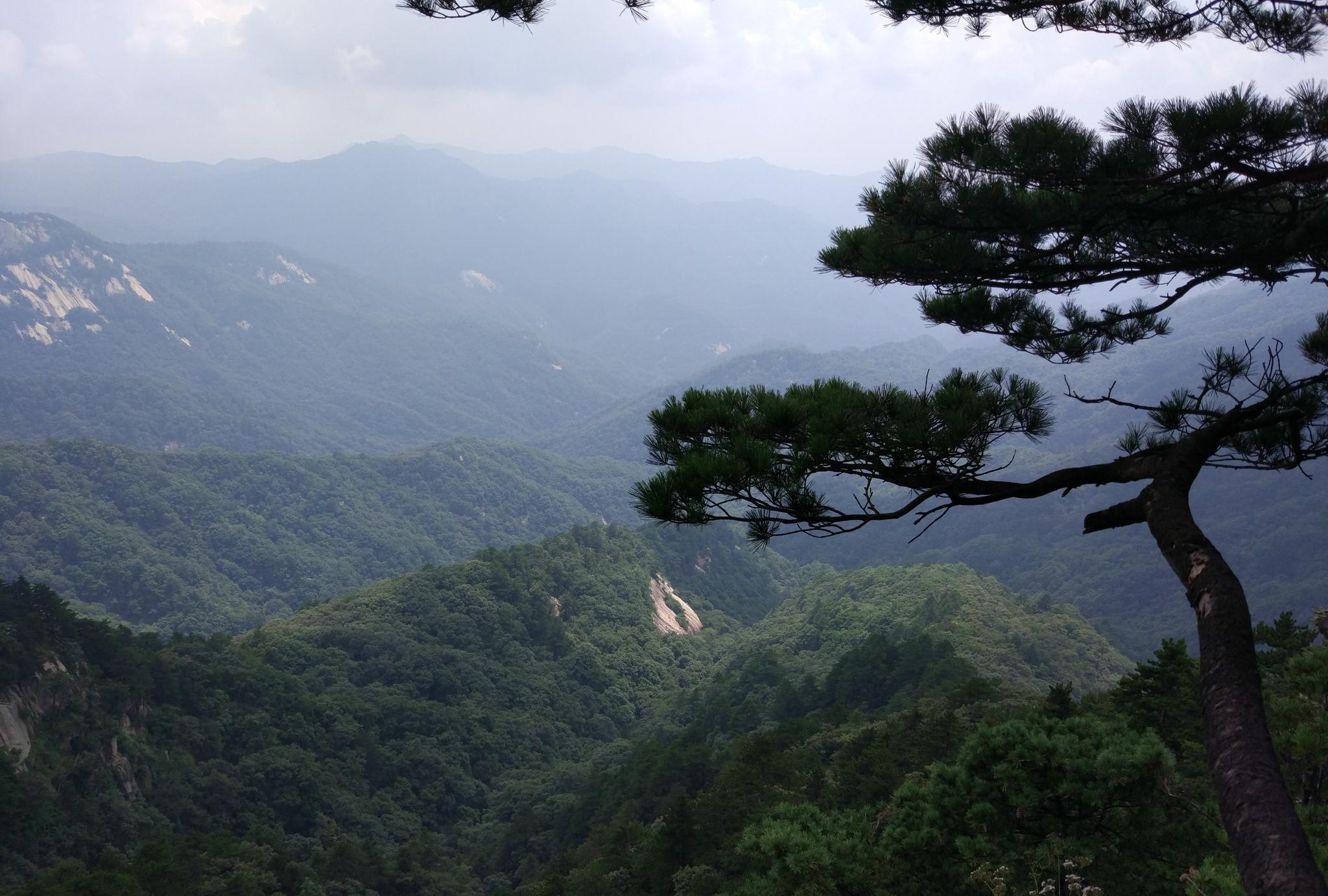 中国十大最美森林公园——宝天曼国家森林公园