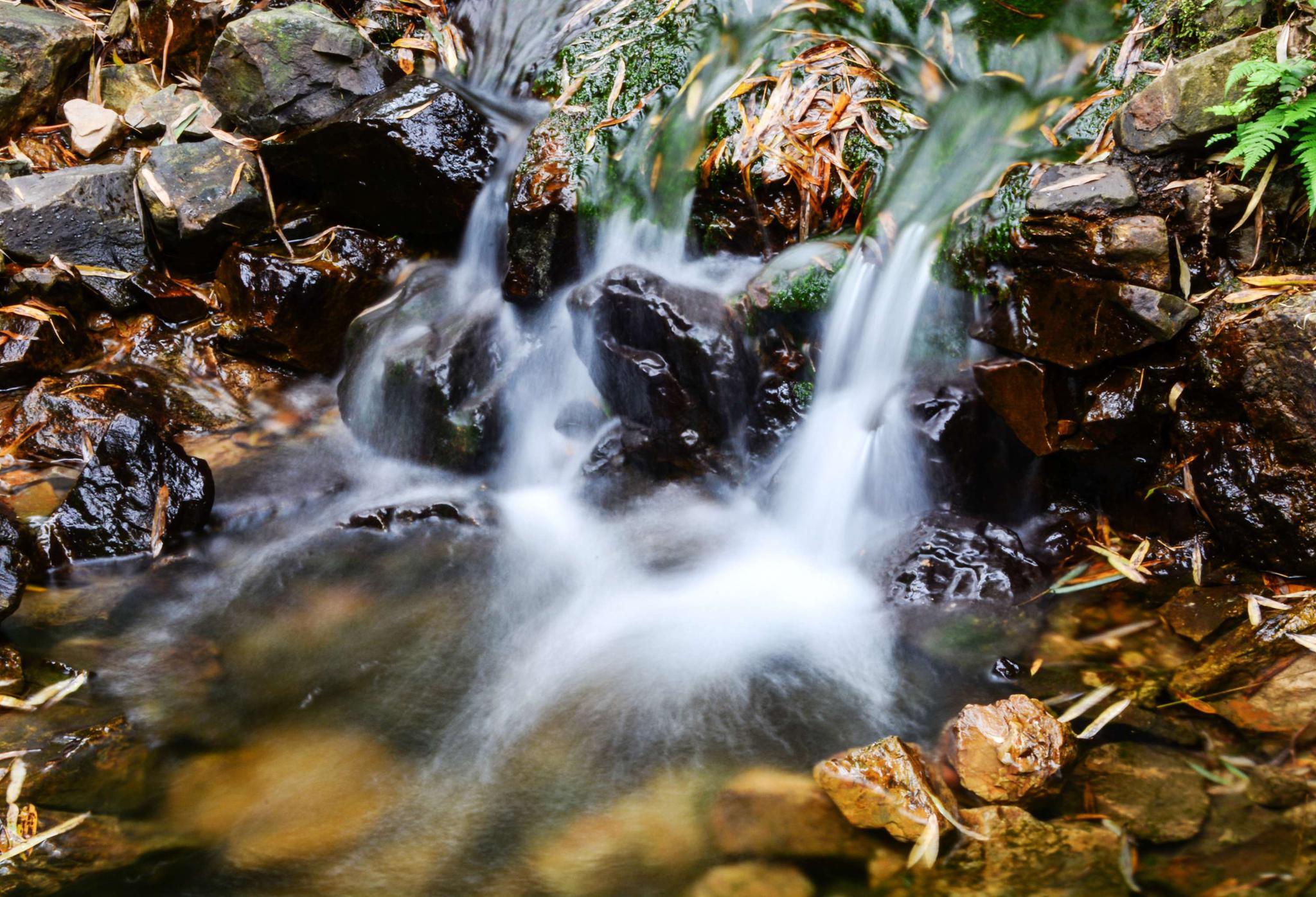 竹海深处一线天细水长流乾元涧