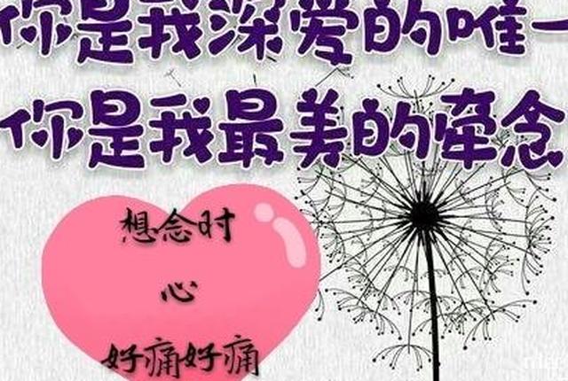 爱好难想好痛,爱着想着,爱你无怨无悔,想你的痛是苦涩的滋味