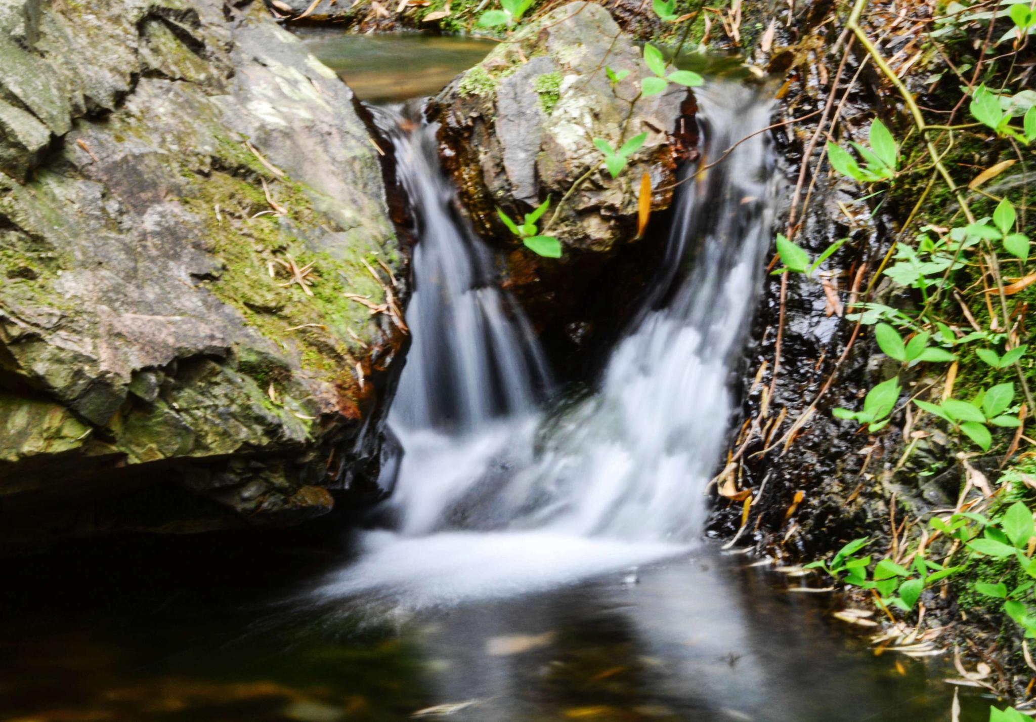 竹海深处一线天细水长流乾元涧