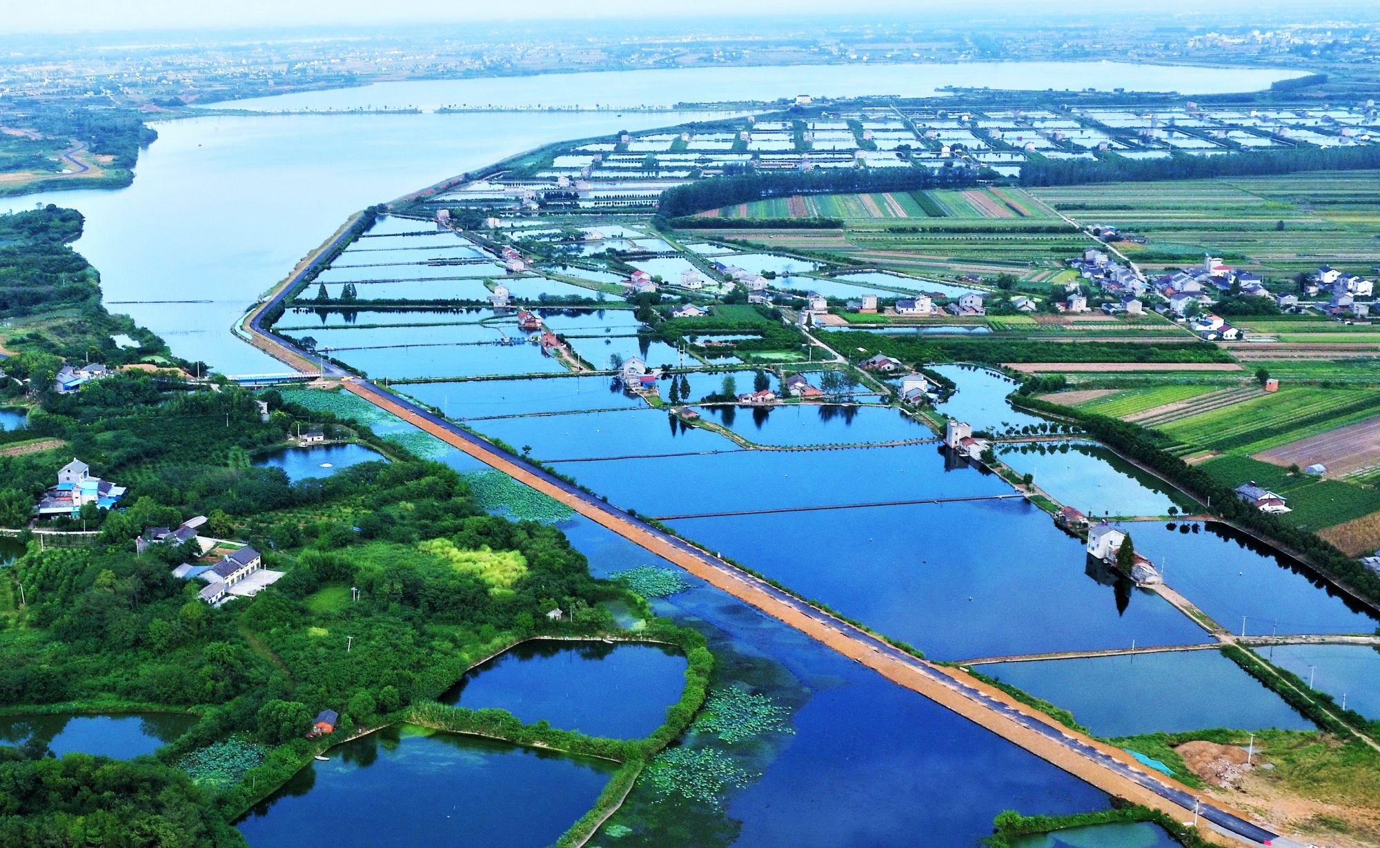 湖北枝江:大美湿地——金湖