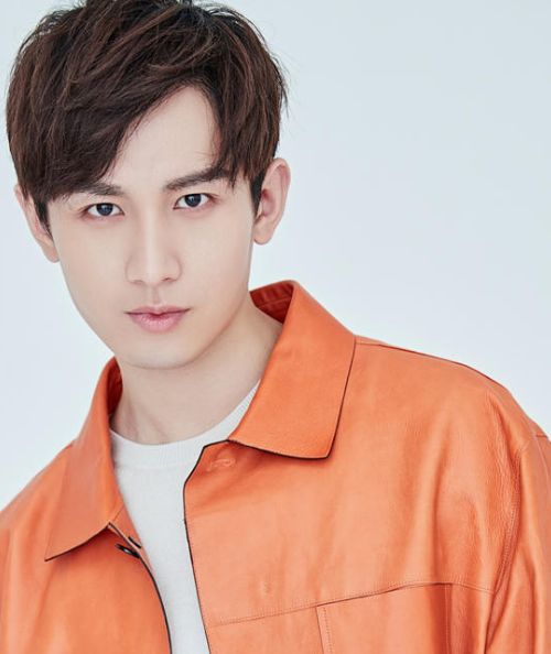 在怀化出生的4位明星