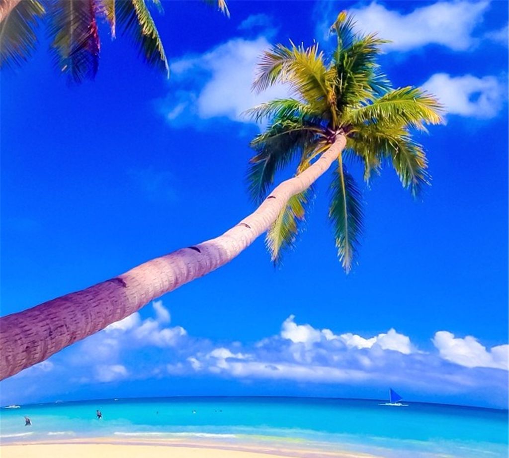 世界上最美丽的海岛之一,放松心情的好地方_高清图集_新浪网