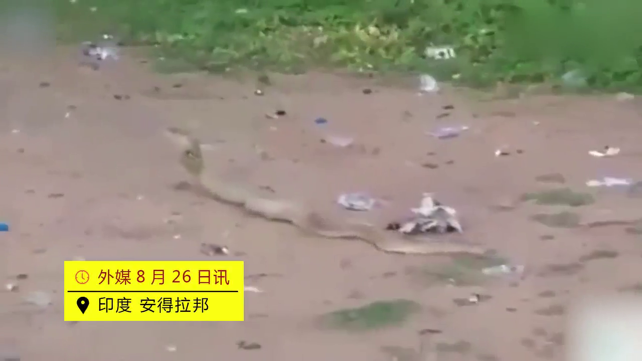 一斤鸡蛋有几个?90个!对你没看错