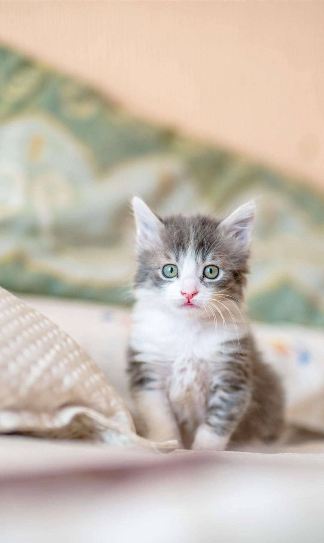 可爱小喵喵喵星人:阳光是我的踏水小喵喵你知道我在看你么?