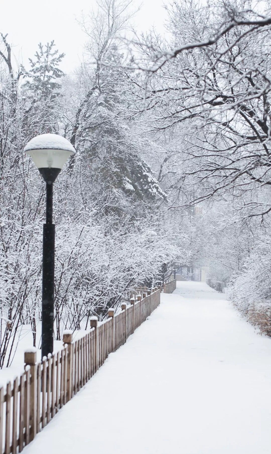 描写雪景的古诗句推荐 雪天自驾安全注意事项