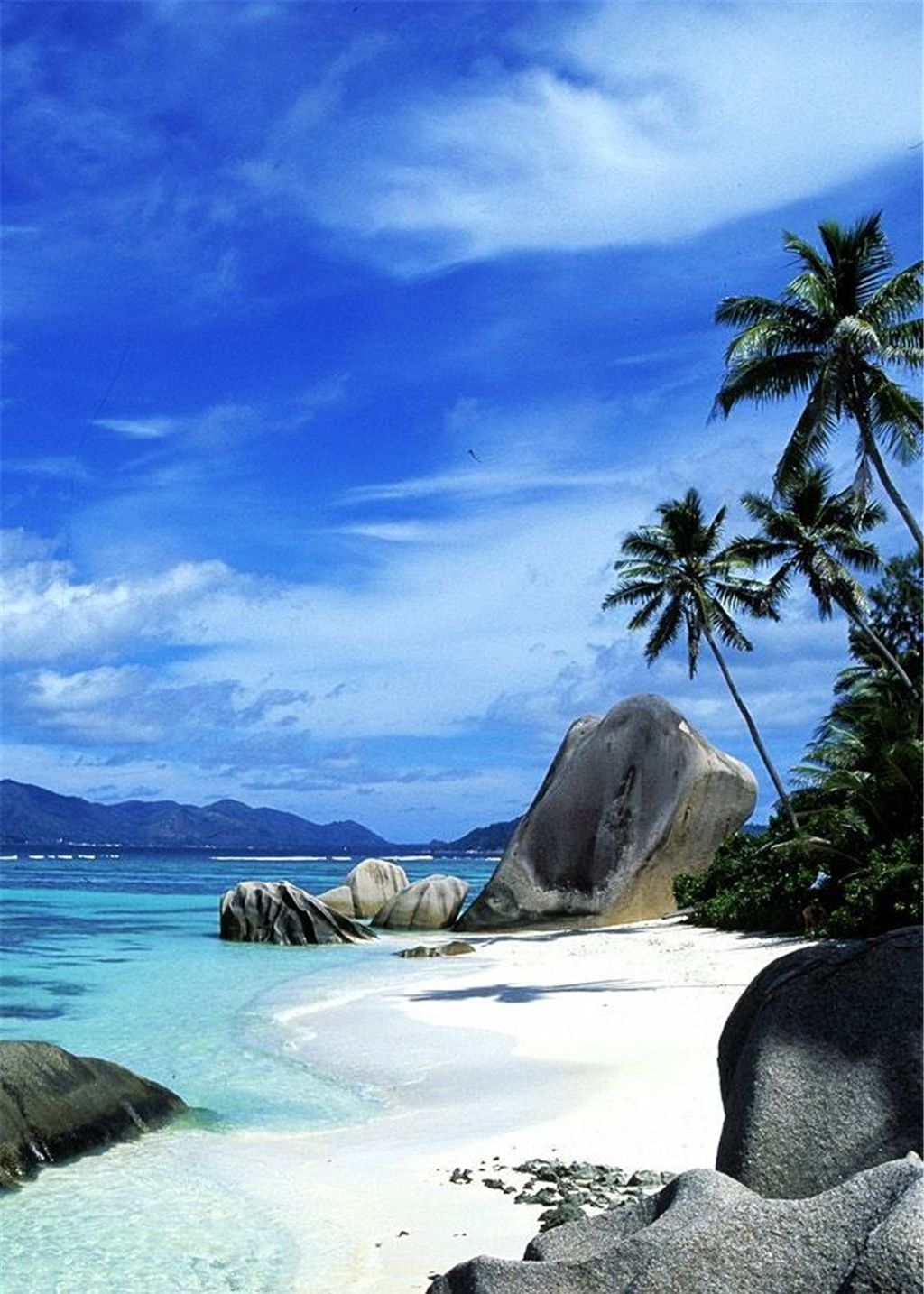 你没见过的海景,从白天都黑夜,都是春色满园_高清图集_新浪网