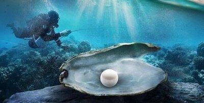 采珍珠的人有感如果真实行十二年义务教育应该教些什么