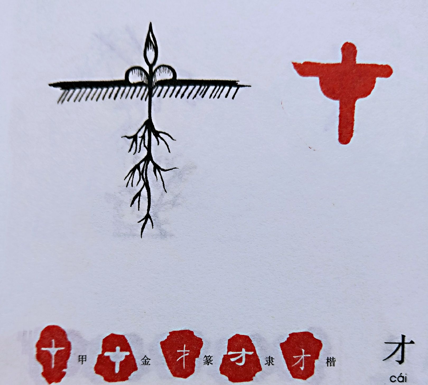 汉字演变：一个人，要想实现理想，才华还是其次，这3个字才关键|甲骨文|汉字|演变_新浪新闻