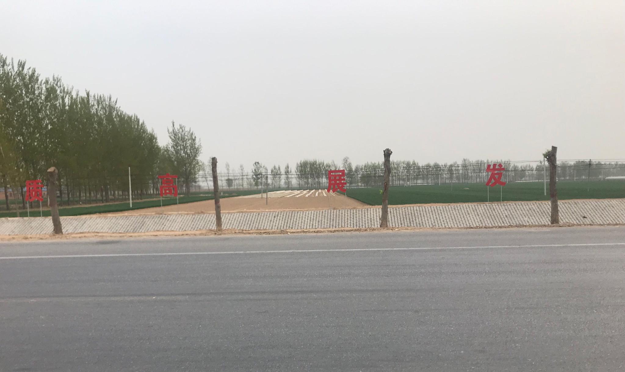 踏青好去处生我养我的家乡豫北滑县八里营镇几个月不见就变样