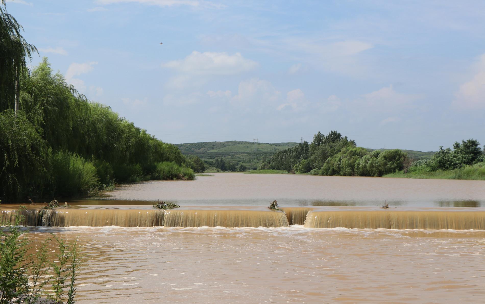 昨天一场急雨过后,烟台莱阳富水河重现"大河"风范