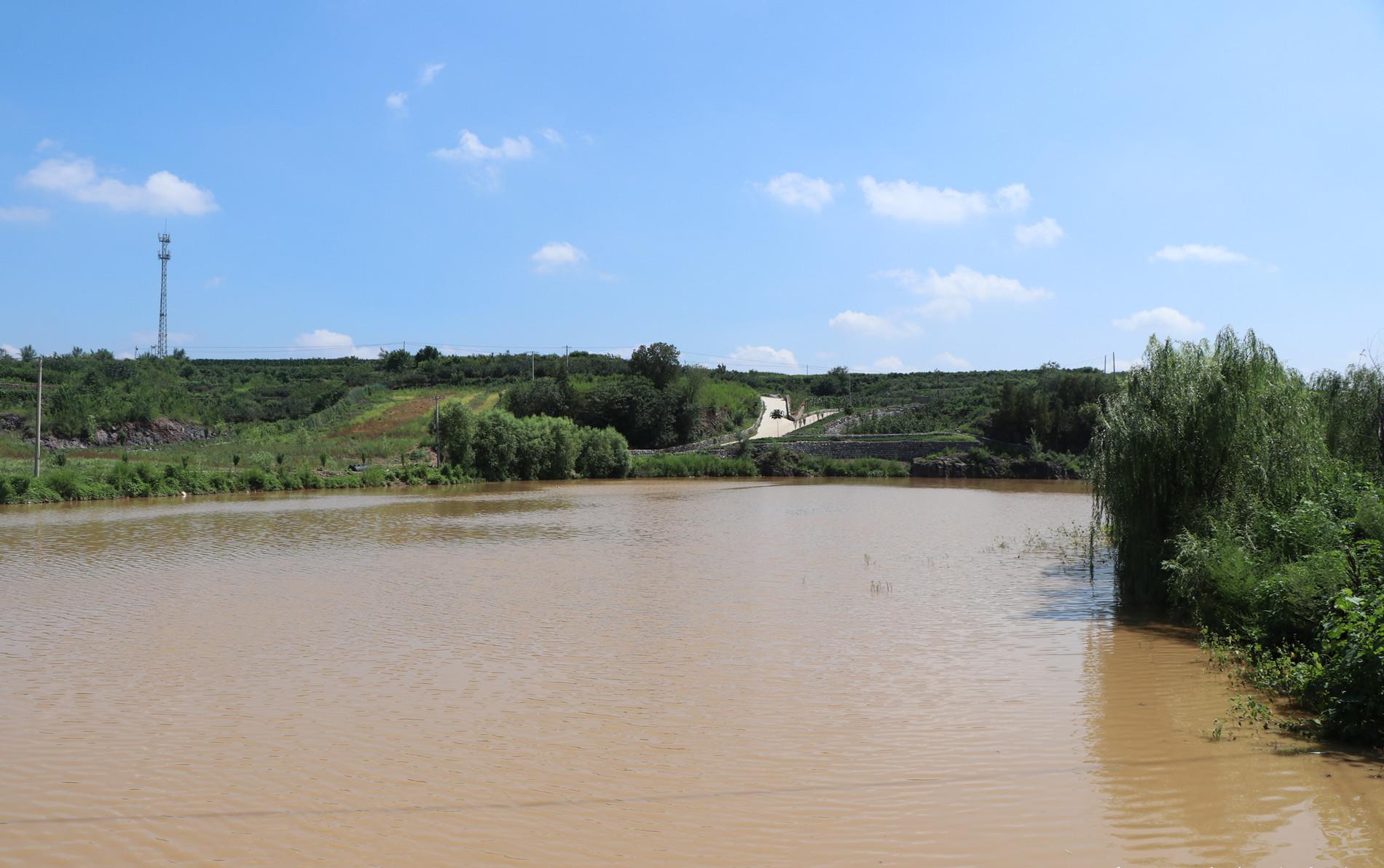 昨天一场急雨过后,烟台莱阳富水河重现"大河"风范