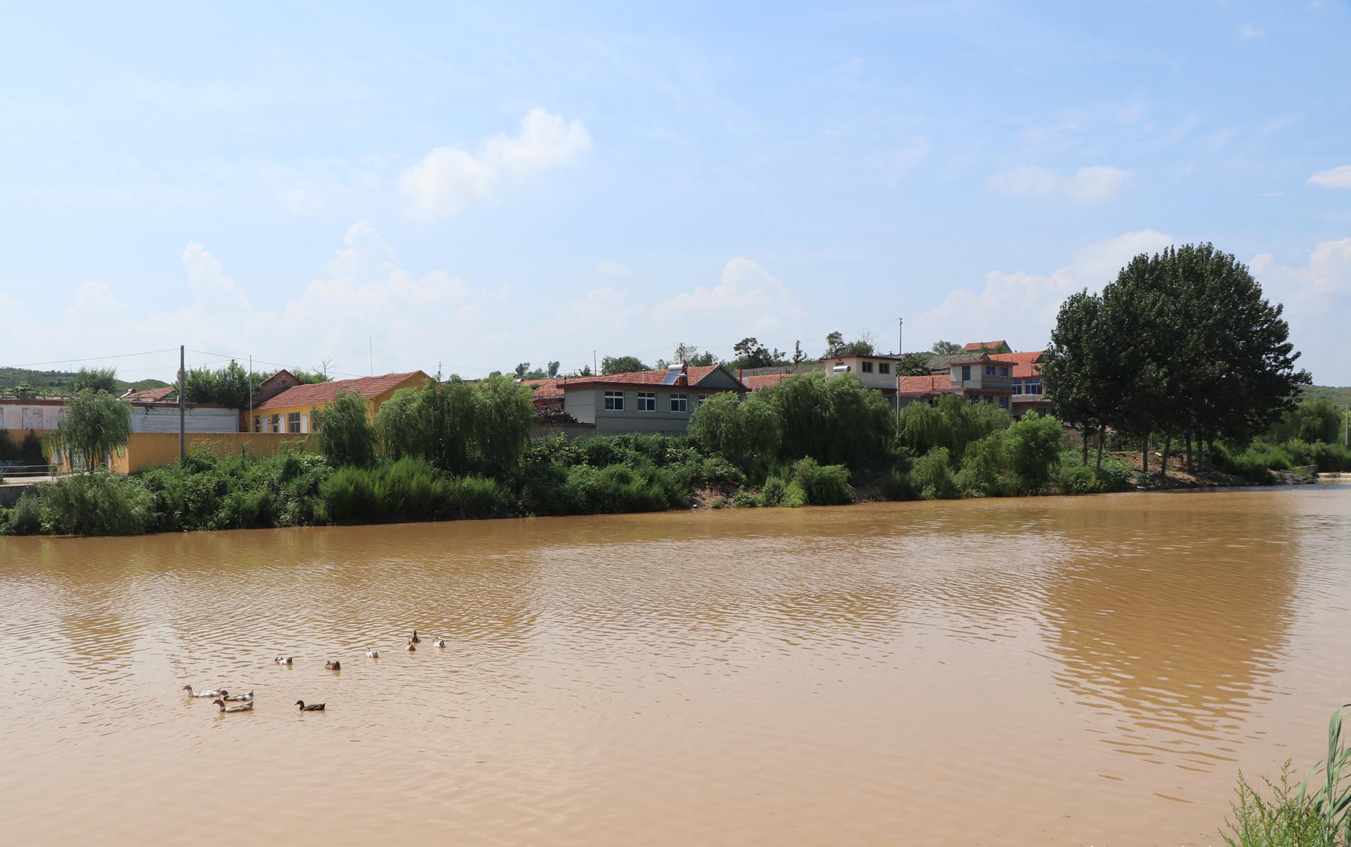 昨天一场急雨过后,烟台莱阳富水河重现"大河"风范