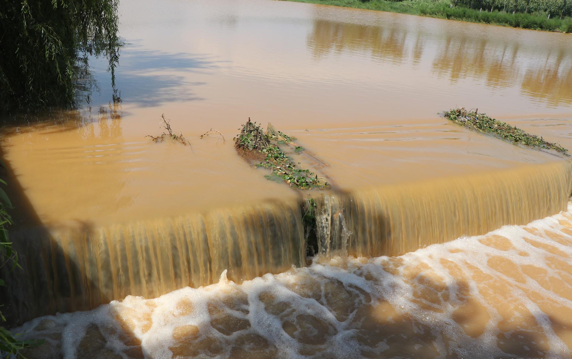 昨天一场急雨过后,烟台莱阳富水河重现"大河"风范