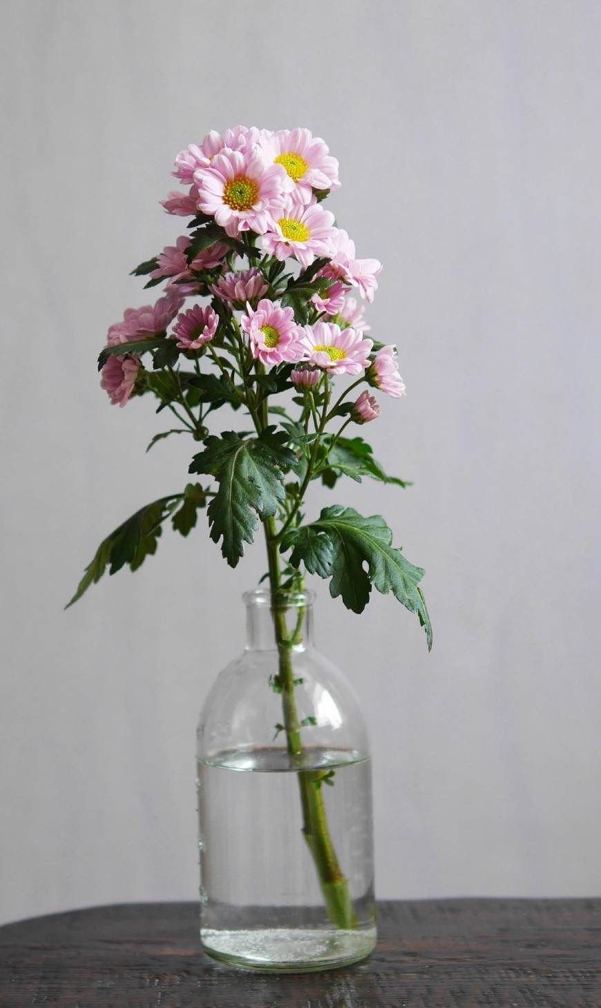 美丽漂亮的插花艺术图集_高清图集_新浪网