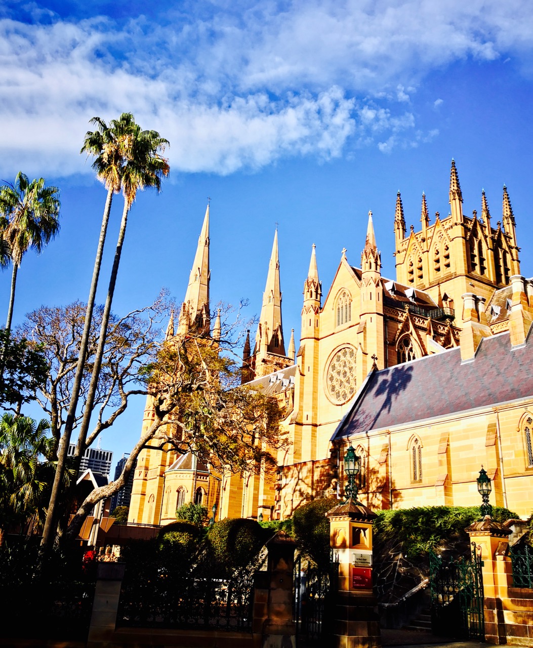 2019圣玛丽大教堂-旅游攻略-门票-地址-问答-游记点评，悉尼旅游旅游景点推荐-去哪儿攻略