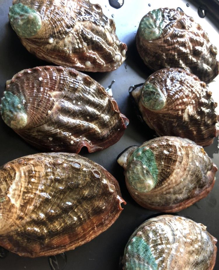 家庭版金米焗鲍鱼吃出高品质酒店菜的味道