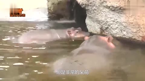 长假前不适合工作,因为放假前的工作状态是这