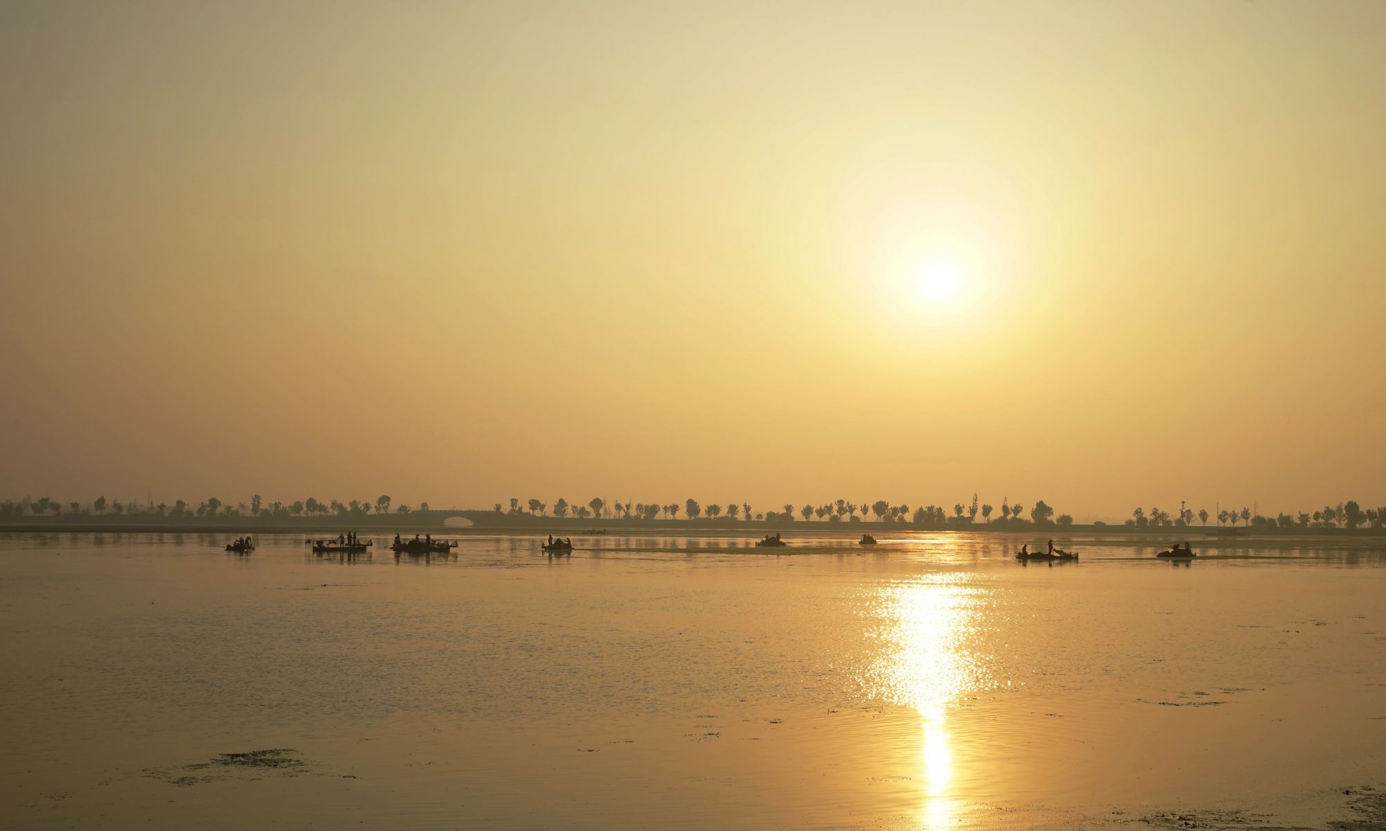 湖北枝江:大美湿地——金湖