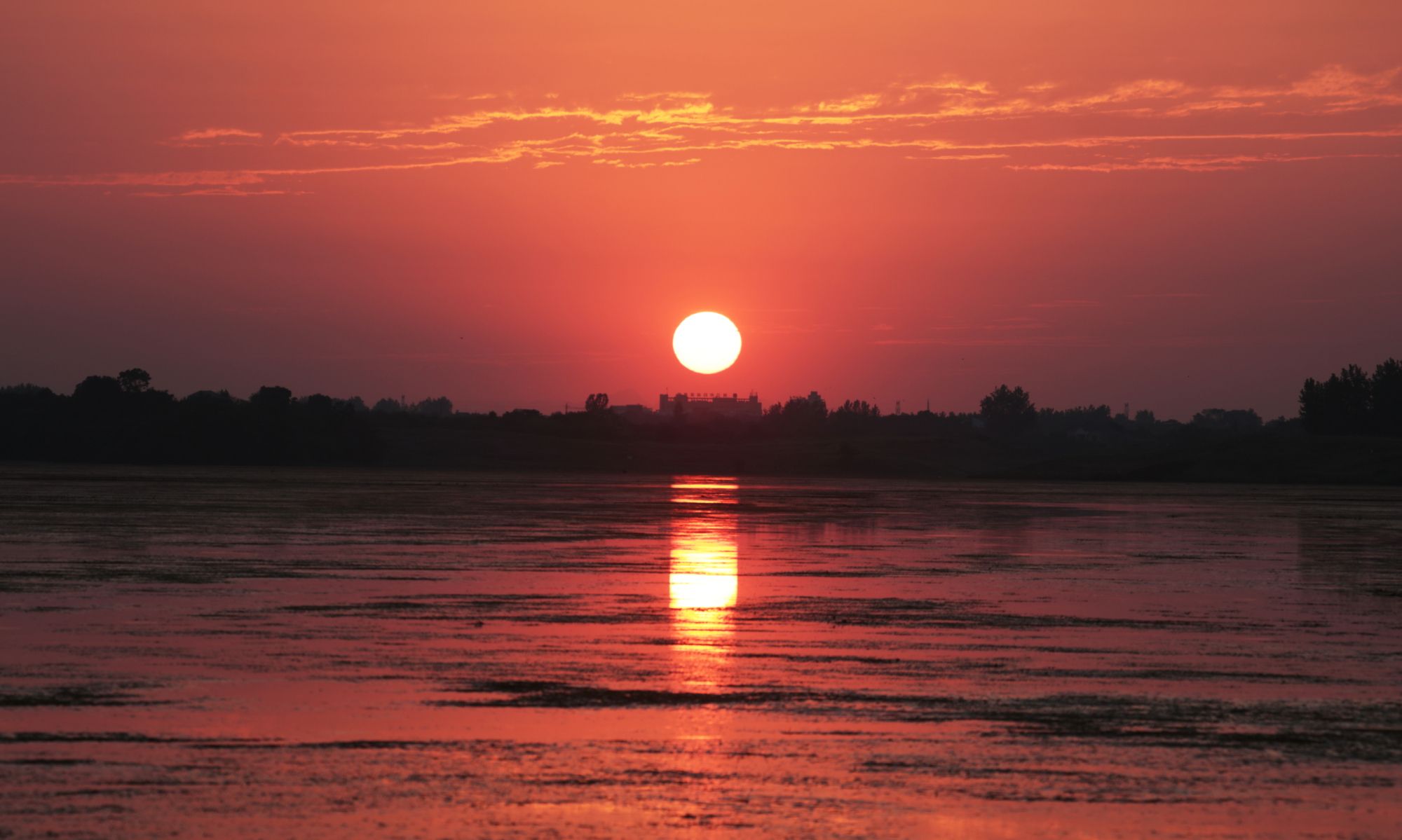 湖北枝江:大美湿地——金湖