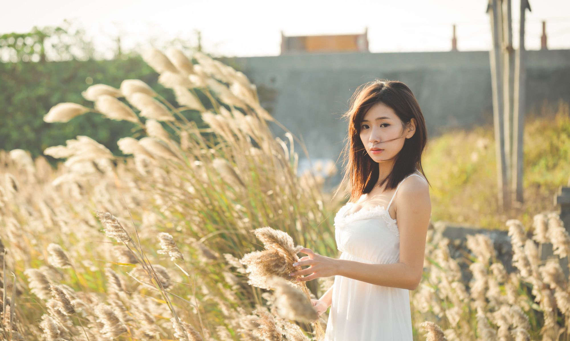 芦苇丛中粉嫩清纯美女个人写真,白色长裙映芦花