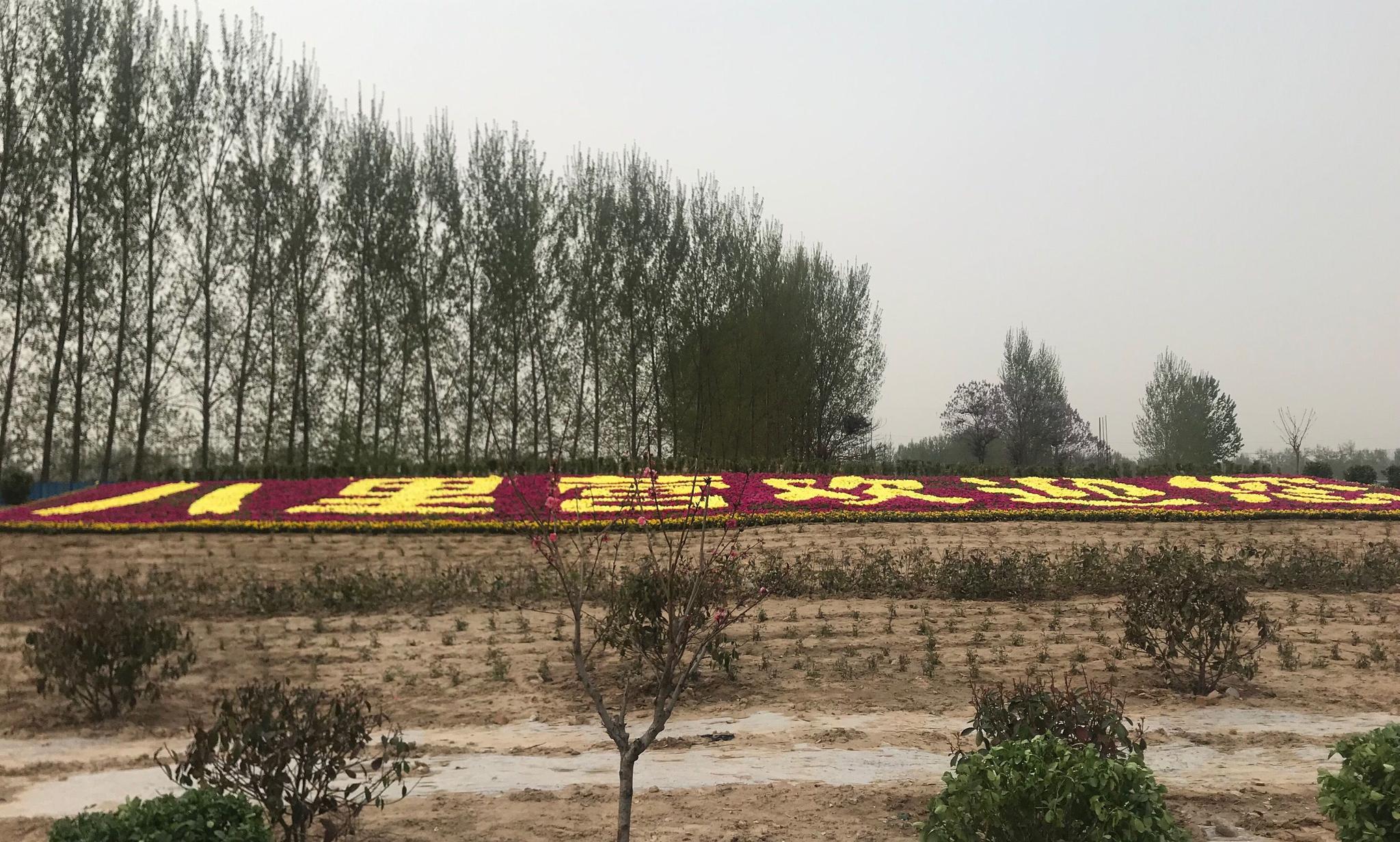 踏青好去处生我养我的家乡豫北滑县八里营镇几个月不见就变样