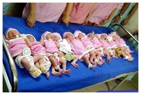 中国女子生下七胞胎图片