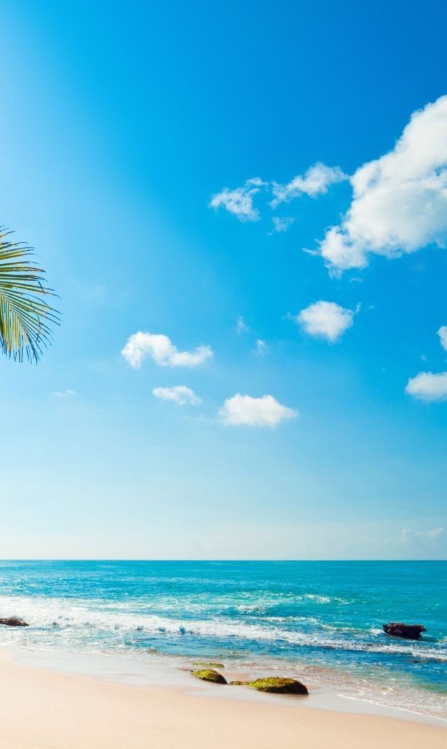 精美手机桌面壁纸,锁屏壁纸图片推荐点击订阅,每日更新精美手机桌面