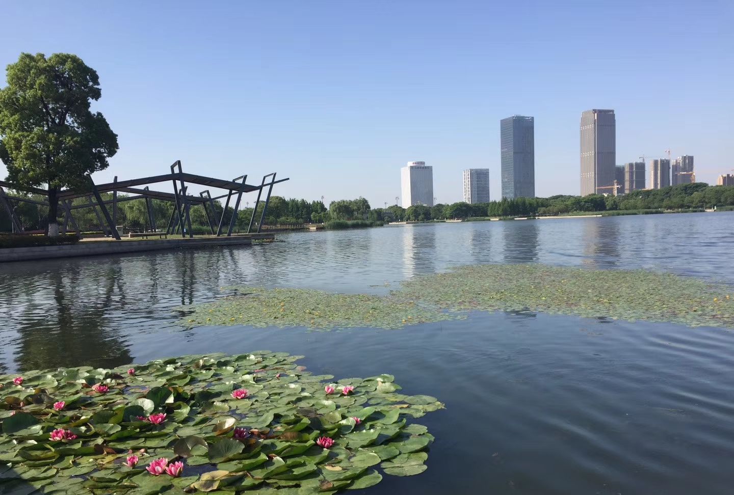 无锡尚贤河湿地公园的早晨移步换景,很幸运的拍到了彩虹