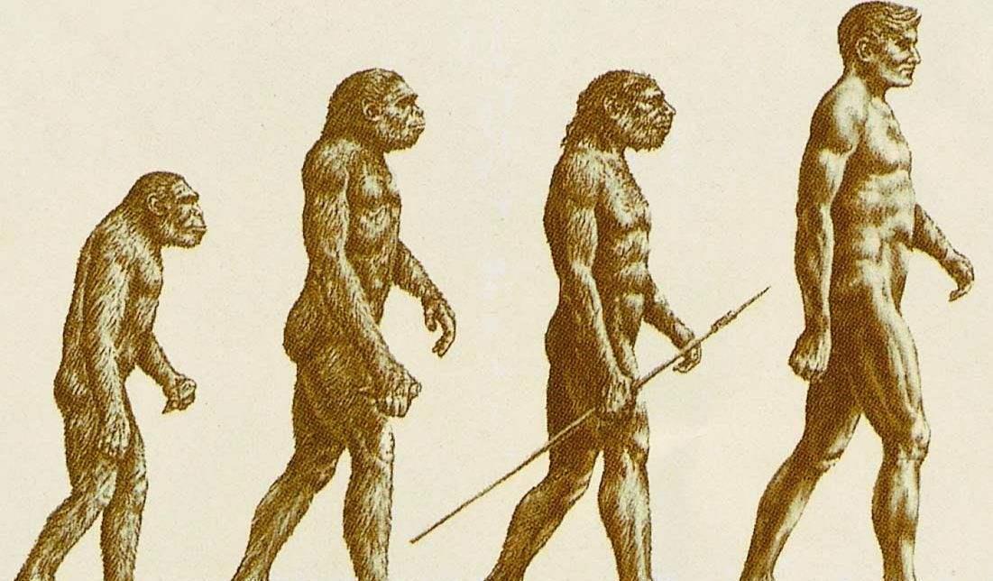 北京猿人或并非中国人的祖先,它们在10万年前被毁灭了|人猿|猿人|智人