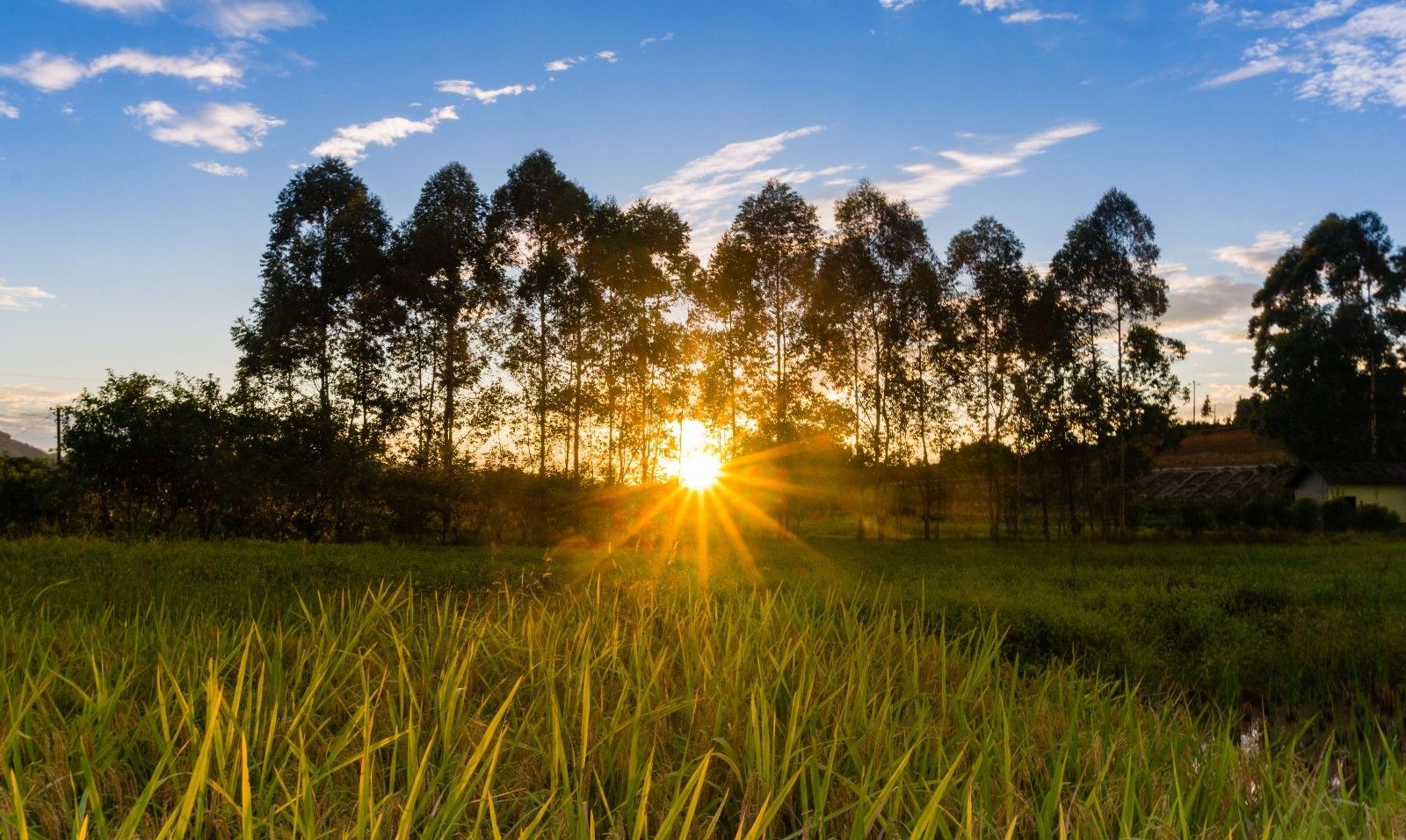 风光摄影:夕阳下的田野