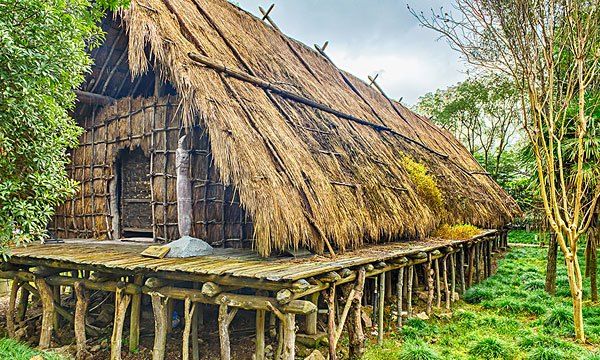 河姆渡遗址,中国已发现的最早的新石器时期文化遗址之一
