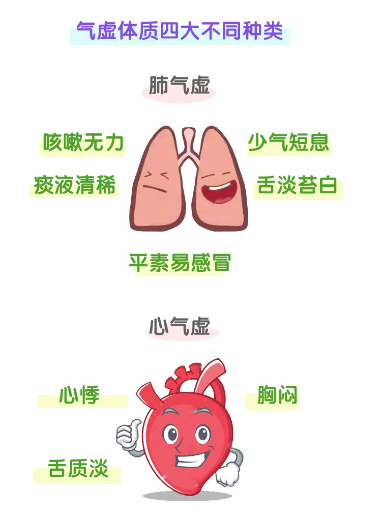 【图说体质】一张图了解“气虚体质”|体质|气虚_新浪新闻