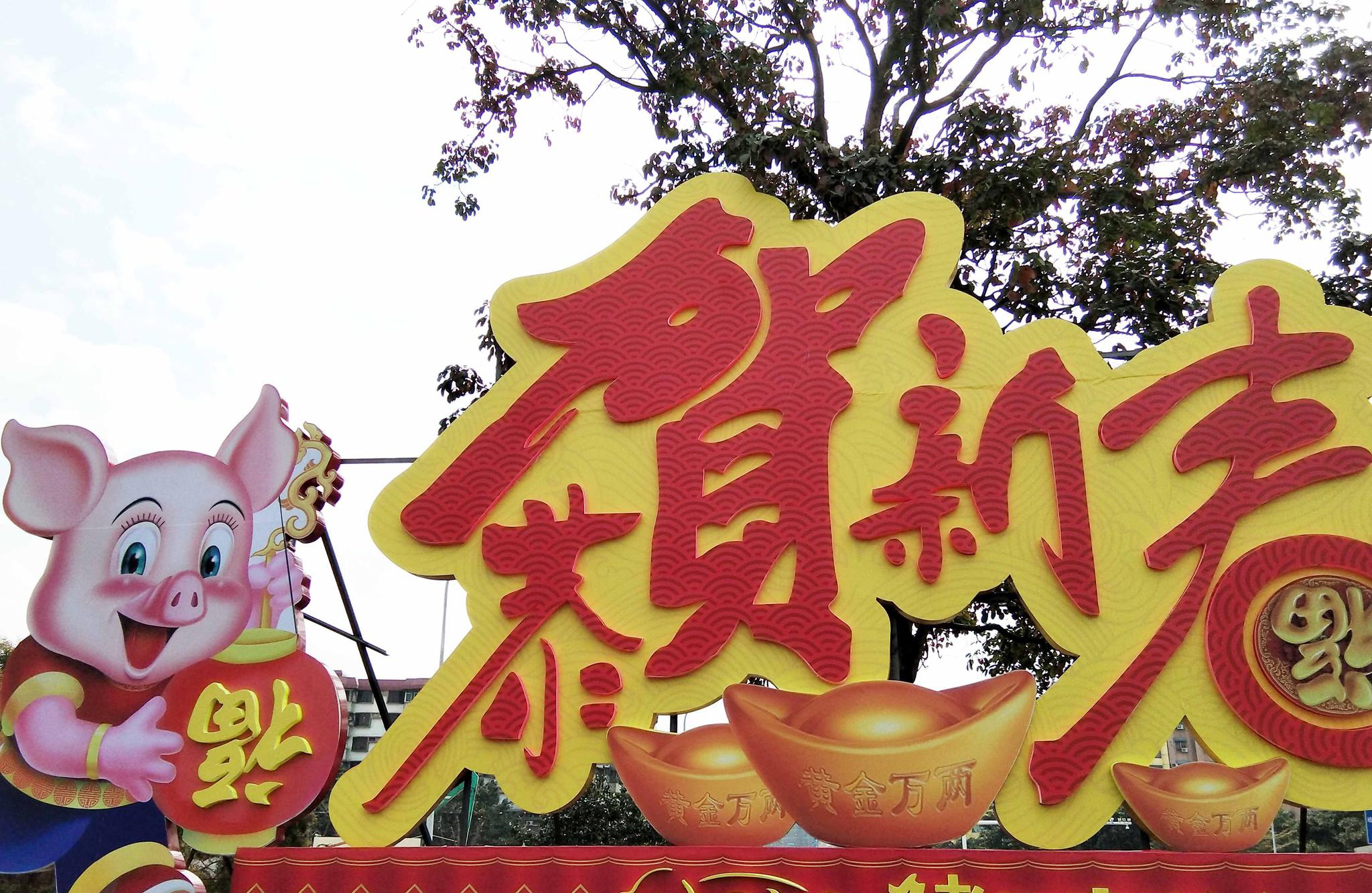 广东珠三角过年习俗:逛花市,行花街,花香满城迎新年|行花街|花市|蝴蝶兰_新浪新闻