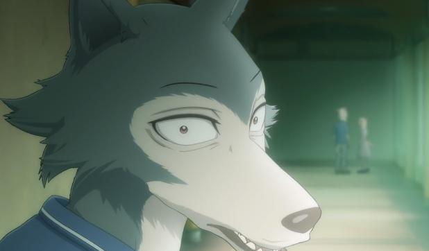 动物狂想曲完结时官宣第二季开始制作并放出了真人版照片