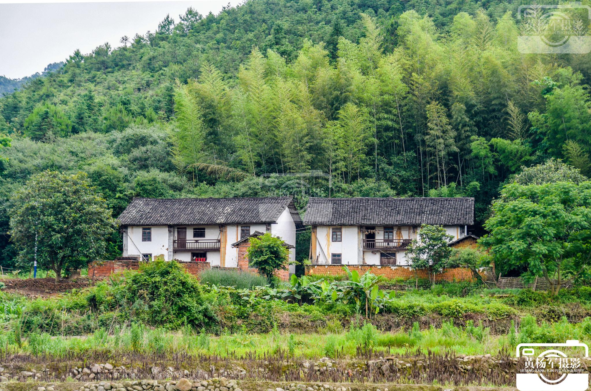 一片翠绿的竹林,一座茂密的山林,一栋黑瓦白墙的老屋是于都县祁禄山镇