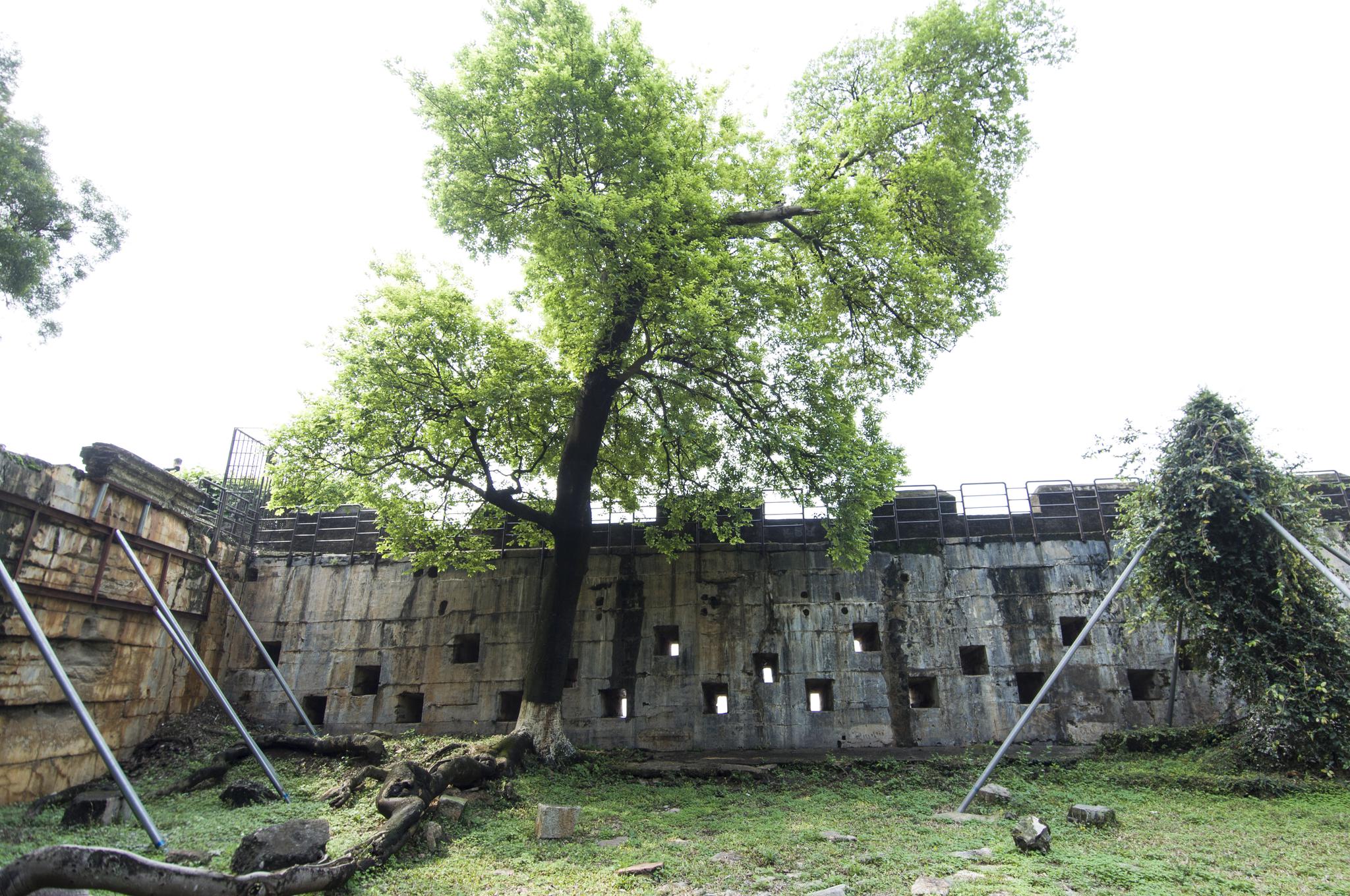 广东省东莞市虎门镇:威远炮台旧址|威远炮台|虎门镇|古战场遗址_新浪