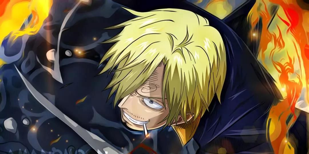 土木菌收图海贼王绿藻头和圈圈眉的那些事