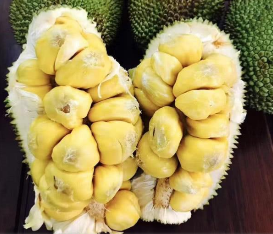 这两种水果的果核,无毒能吃,做成菜味道真不错,别当垃圾扔掉了|果核|榴莲|菠萝蜜_新浪新闻
