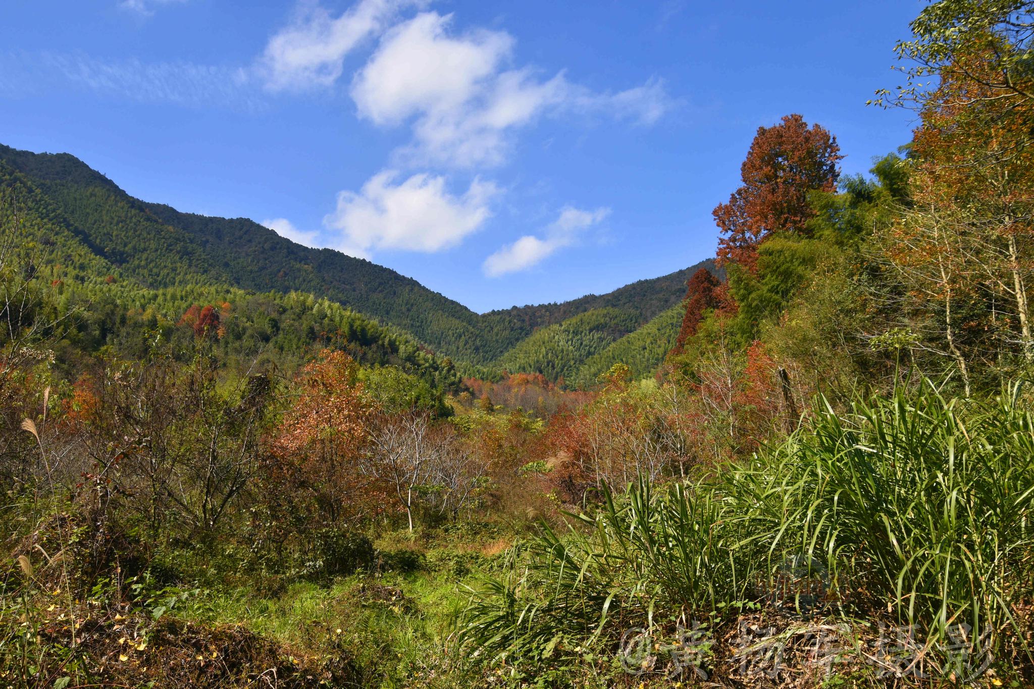 于都小溪多彩的安山之巅【原创摄影】